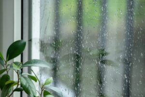 雨漏り　窓