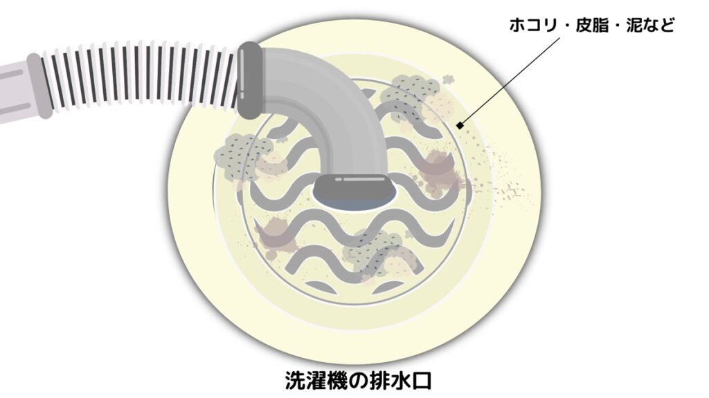 洗濯機の排水口が汚れている様子