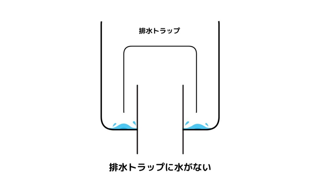 洗濯機の排水トラップに水がない様子