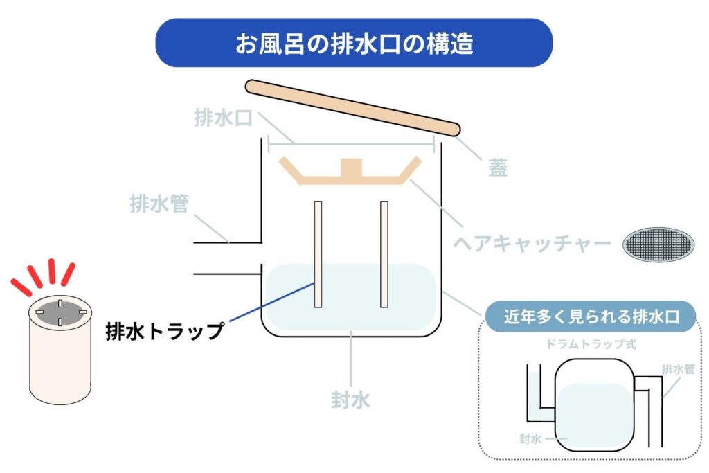 お風呂の排水トラップが汚れている様子