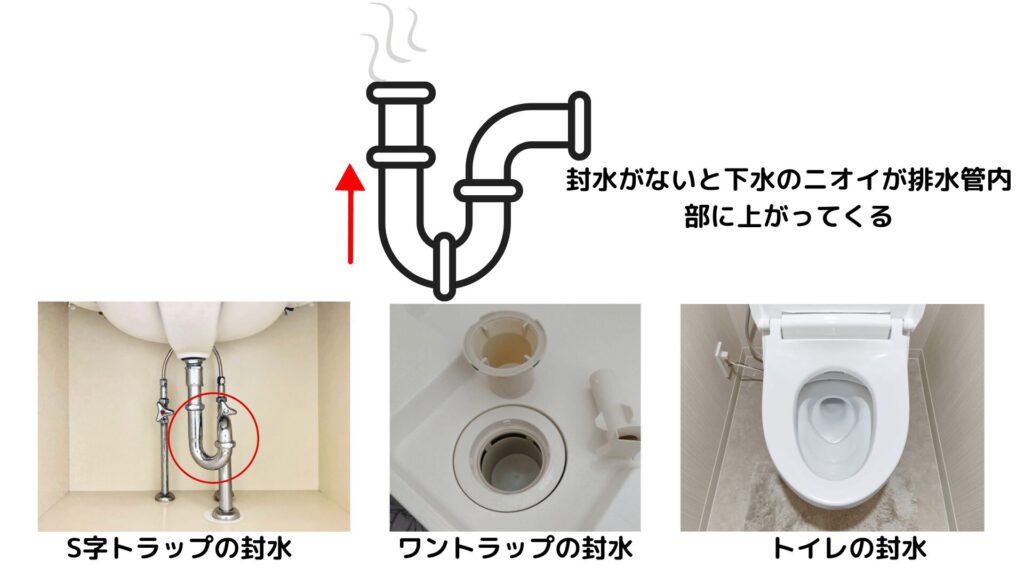 排水管の封水がなくなっている様子