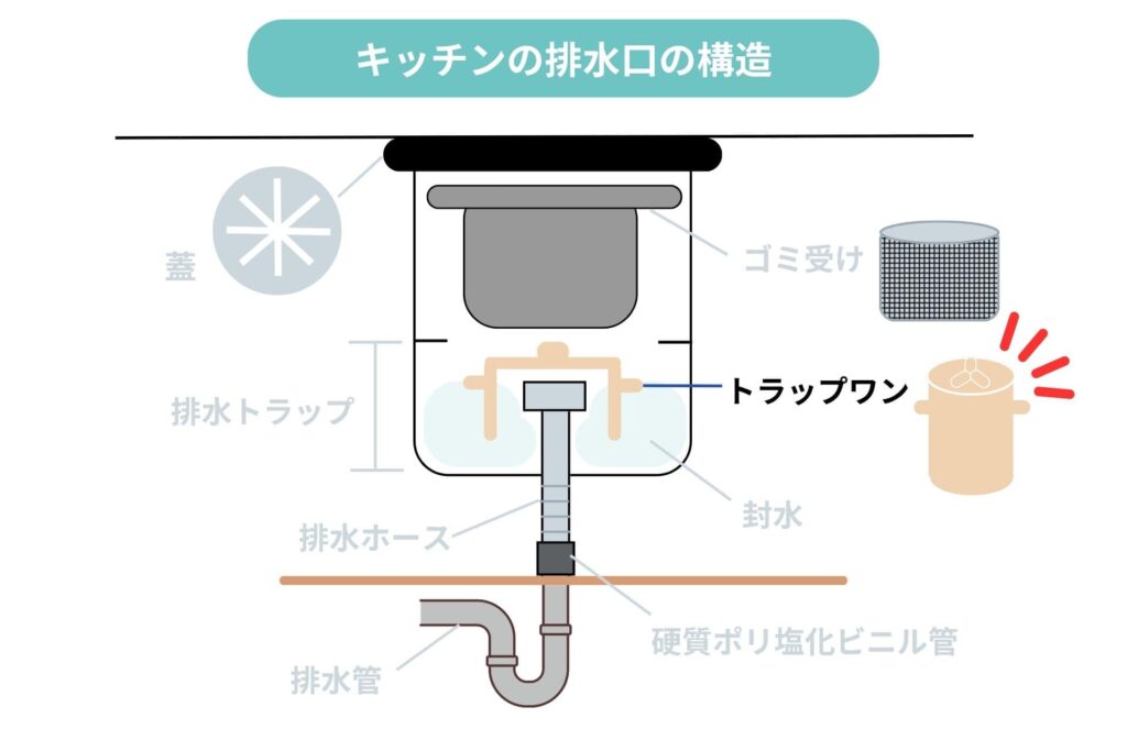 キッチンの排水口：トラップワンのイラスト