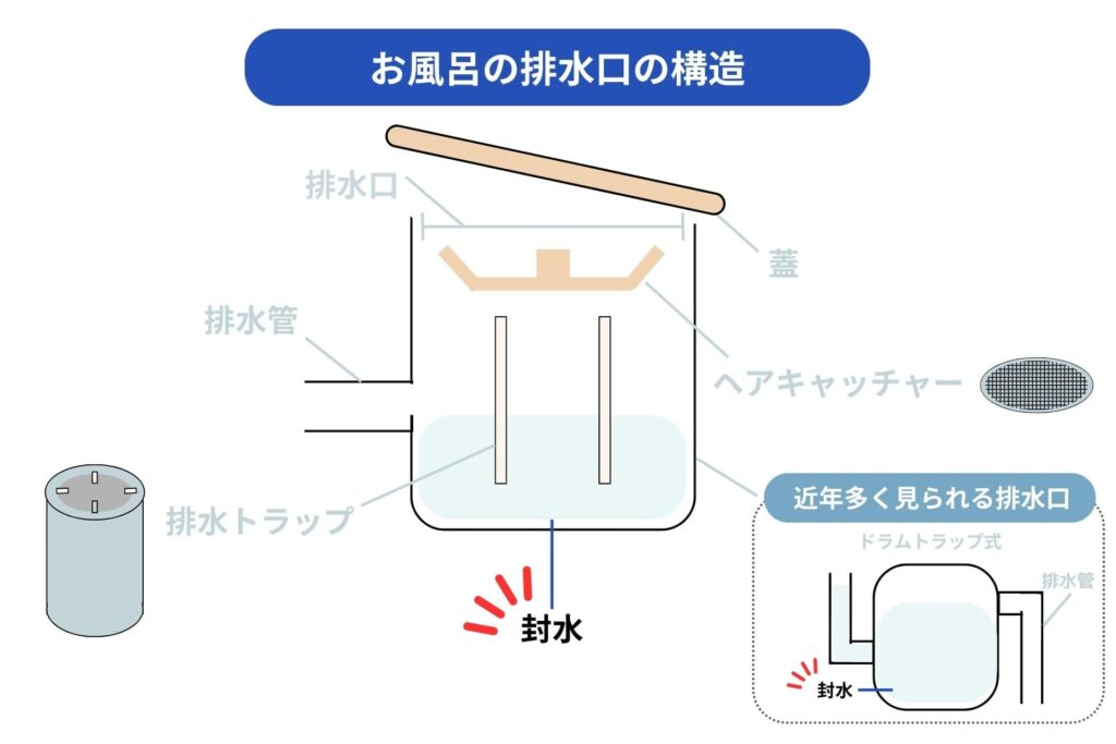 お風呂の排水トラップに水がない様子