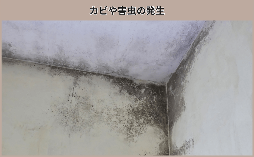 カビや害虫の発生