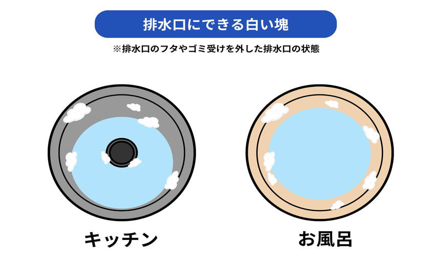 排水口にできる白い塊