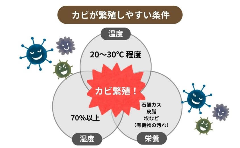 カビが好む環境・条件とは？