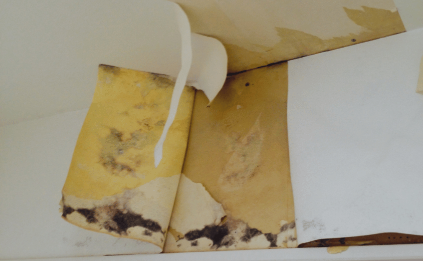 外壁塗装剥がれ 補修 diy 劣化