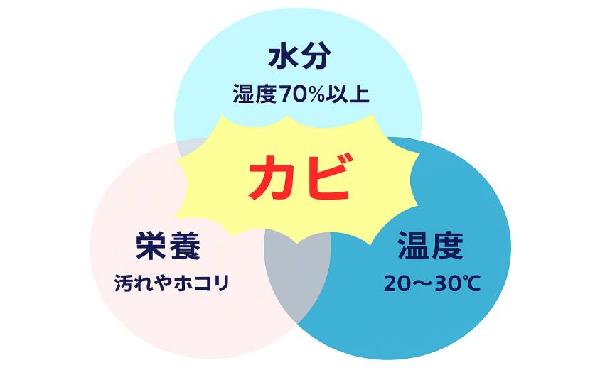 風呂の天井にカビが発生する3つの条件（水分・温度・栄養）を示した図