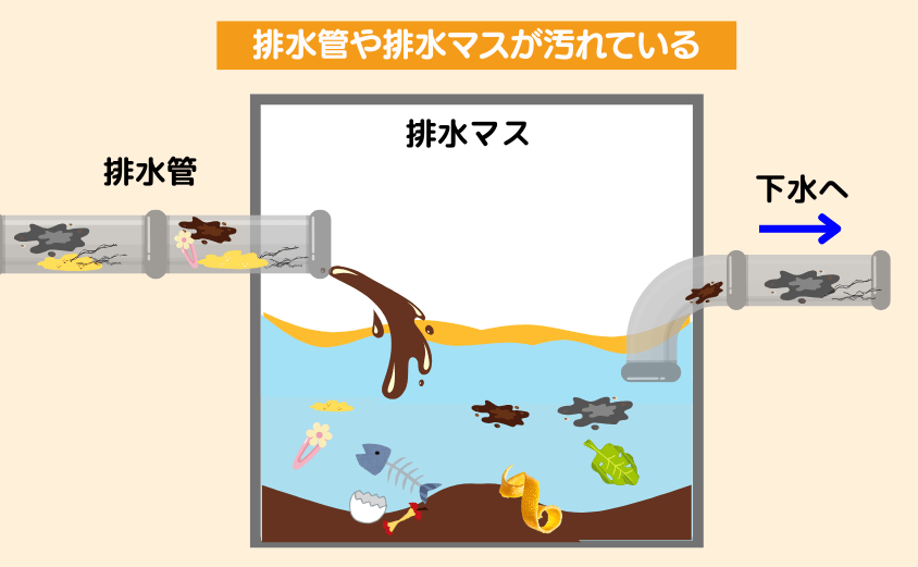 排水管や排水マスが汚れている