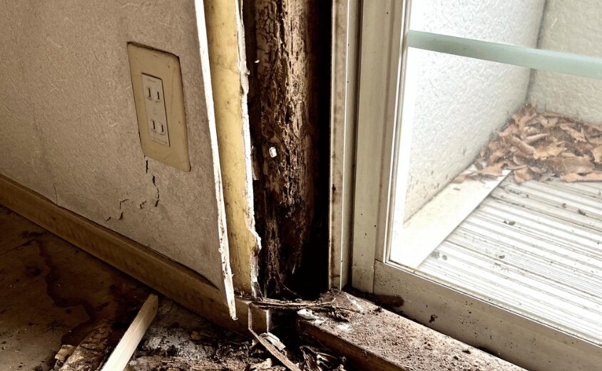 外壁 サイディング メンテナンス