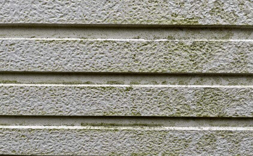 塗装 外壁 何年ごと