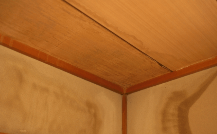 シミ 瓦屋根 雨漏り