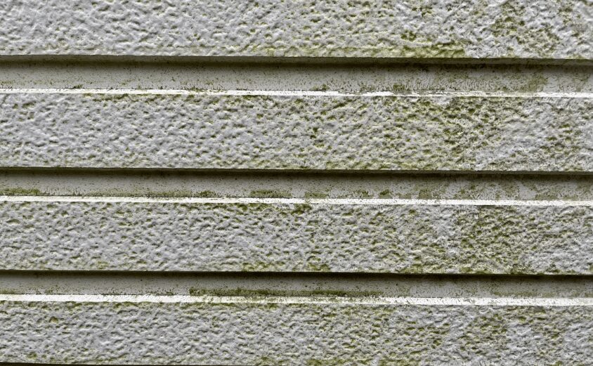 外壁塗装 20年 してない