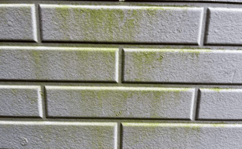 外壁塗装 20年 してない