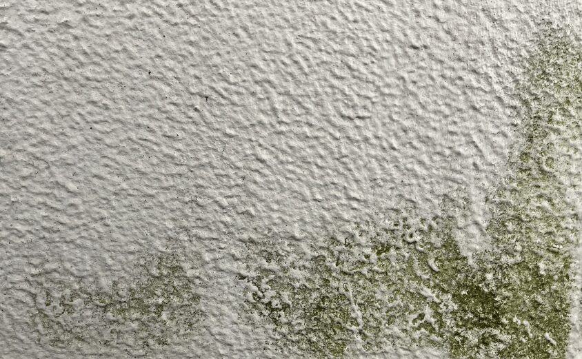 外壁塗装　モルタル