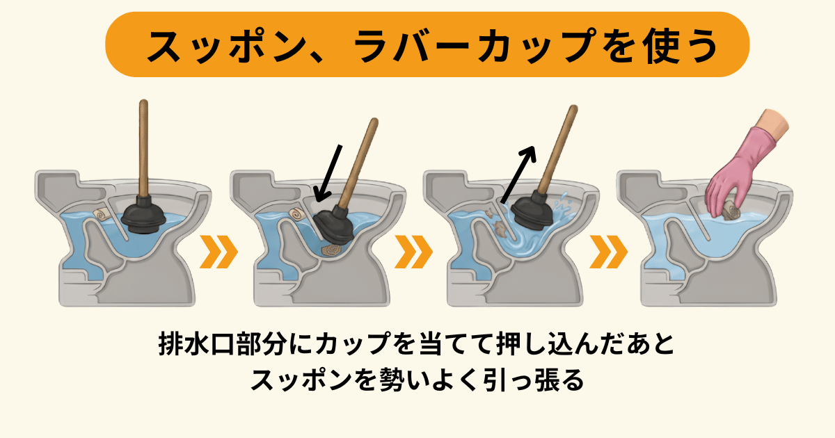 スッポン、ラバーカップを使う