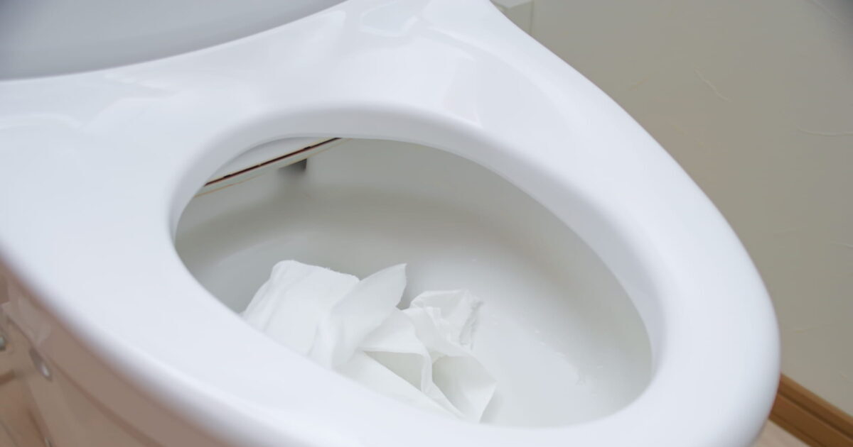 トイレットペーパーによる詰まりを溶かす方法
