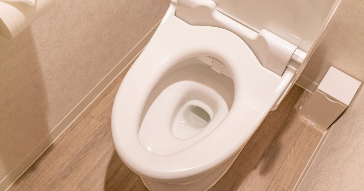トイレ詰まりは洗浄剤で解消できる？原因別の洗浄剤の選び方を解説