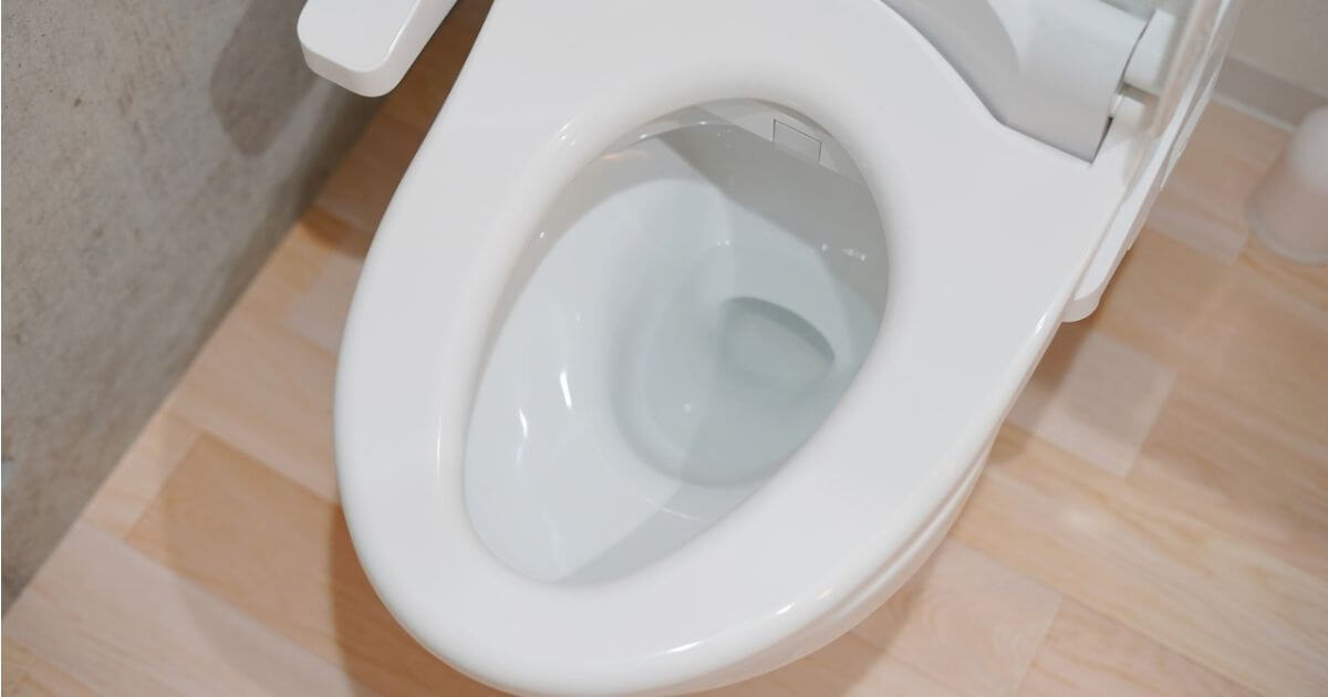 トイレ詰まりを洗浄剤で解消するには原因別の使い分けがカギ