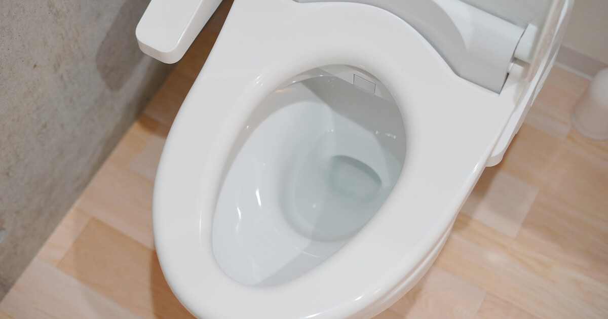 トイレ詰まり2日目は放置厳禁！詰まりが長引く原因や解消法などを詳しく解説