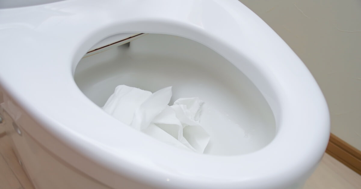 トイレ詰まりに手を突っ込むのは問題なし？有効なケースや注意点を解説